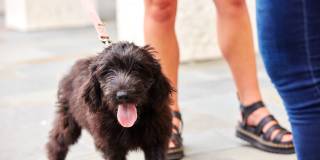 The Henslow Daniel Island Apartments & Townhomes Gallery 17