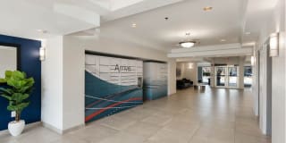 Arrive Alexandria Gallery 18