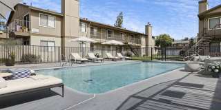 Sandalwood Garden Gallery 1