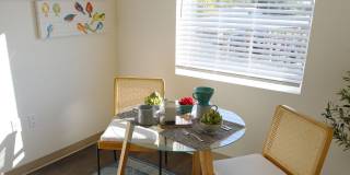 Libertad Austin Gallery 11