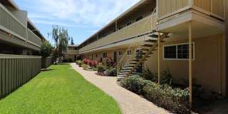 Mountain View Apartments Gallery 8