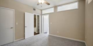 COLE COLE Gallery 33