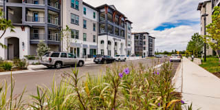 The Harrison Gallery 18