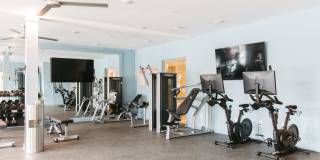 Northerly Gallery 20