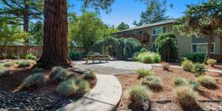 Park at Allen Gallery 3