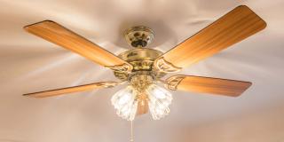 Palladian Apartments Gallery 5