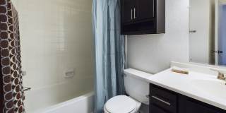 Raintree Apartments Gallery 15