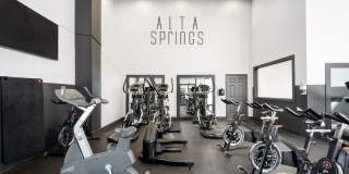 Alta Springs Gallery 38