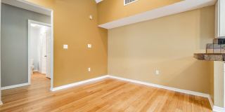 9156 LAKE CHASE ISLAND WAY 9156 LAKE CHASE ISLAND WAY Gallery 14