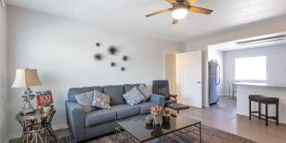 Mark-Hall Gallery 17