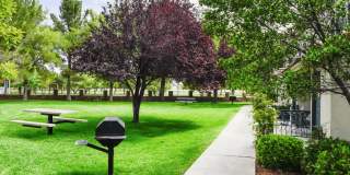 Lifestyles at Los Paseos Apartments Gallery 13