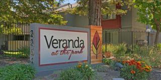 Veranda at the Park Veranda at the Park Gallery 15