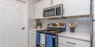 Mallard Glen Gallery 108