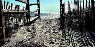 9 Sandpiper Lane Gallery 23