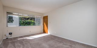 Vue at Piedmont Gallery 11