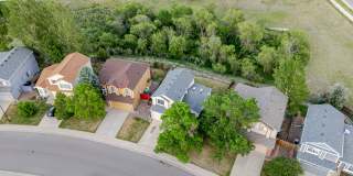 Remodeled Home in Cherry Creek School District Backs to Open Space Gallery 1