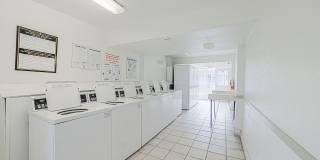 Ashford Willow Falls Gallery 25