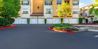 Paseos At Magnolia Luxury Apartment Homes Gallery 108