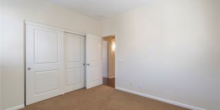 56 Scarlet Bloom Gallery 12