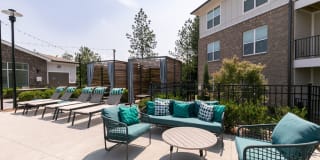 Sugarloaf Grove Gallery 19