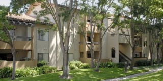 Avalon Mountain View Gallery 30