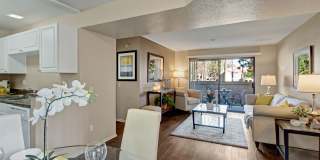 Castlepark Gallery 4