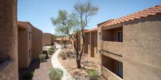 Kachina Springs Gallery 1