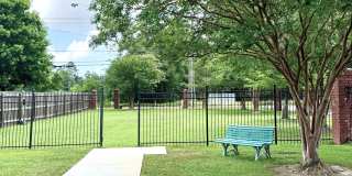 The Mandell Gallery 21