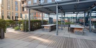 345 Harrison Avenue Gallery 44