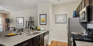 Bridge at Southpark Meadows Gallery 43