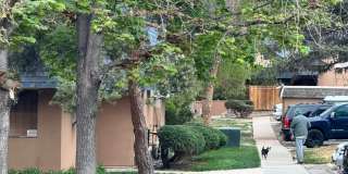 Spacious 2BR Condo in Denver Gallery 25