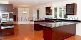 195 Forest Gallery 1