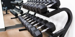 Ambassador Gallery 17