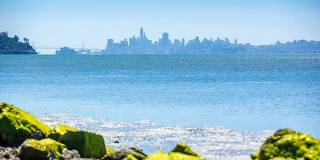 The Cove at Tiburon Gallery 21