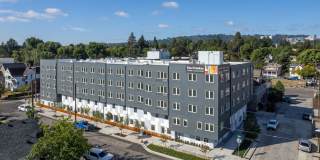 The Frankie Gallery 37