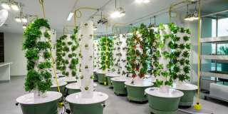 Liberty Towers Gallery 2