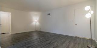 526 Ardmore Gallery 9