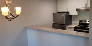 Rickdal Apartments 1011 Gallery 7