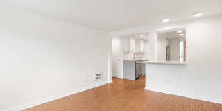 2203 Nob Hill Ave N Gallery 5