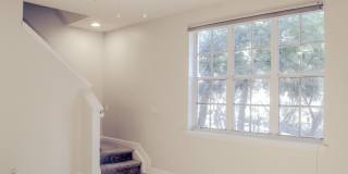 124 Jesup Lane Gallery 14