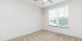 RIZE at Winter Springs Gallery 108