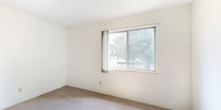 Sherwood Glen Gallery 24