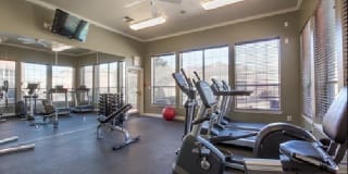 Monte Vista Gallery 28