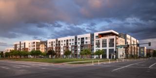 RYE Central Park Gallery 4