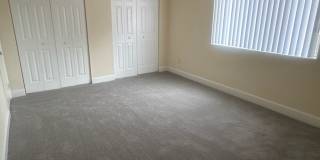 Hewitt Gardens Gallery 81