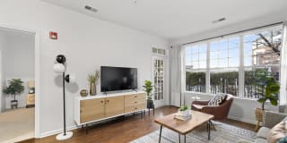 Sofi Lyndhurst Gallery 5