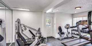 The Lochley Gallery 12