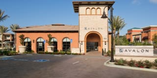 Avalon Vista Gallery 42