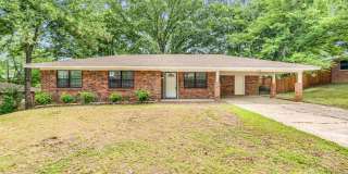 Renovated 3 Bedroom 2 Bath Home for Rent! Gallery 1