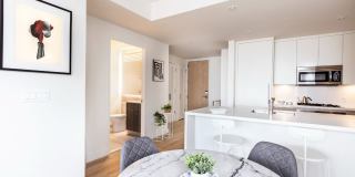 19 Dutch 19 Dutch Gallery 2